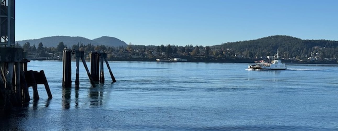 October 14 Hearing ZOOM Link