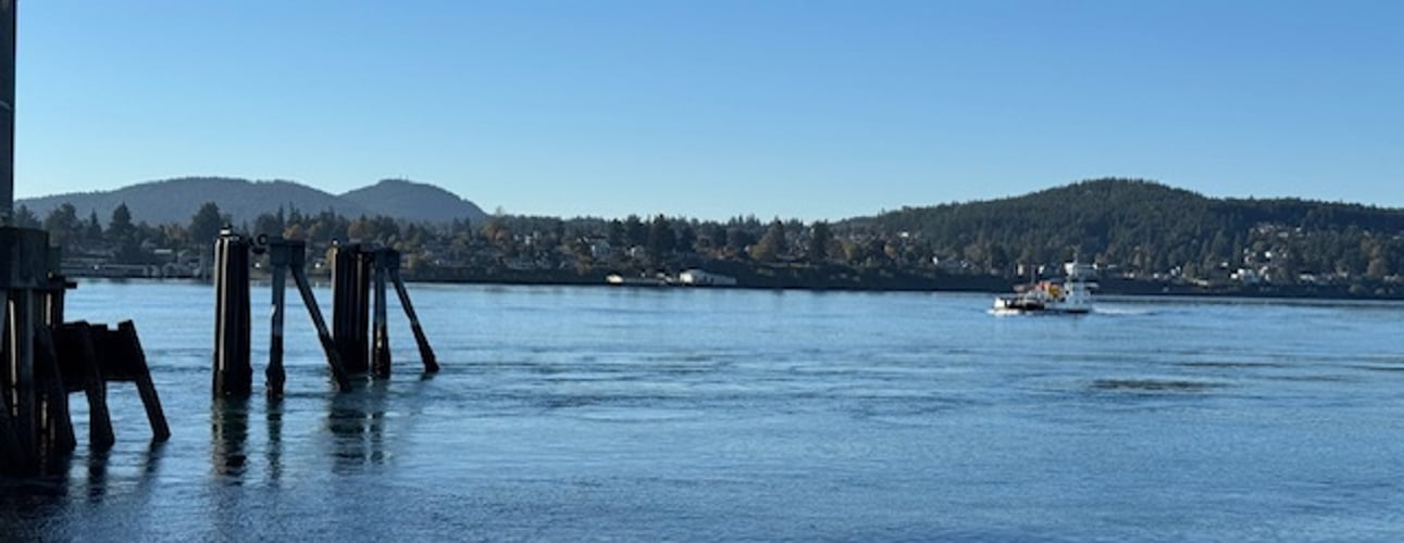 Bridging the Gap by Cindy Kamp