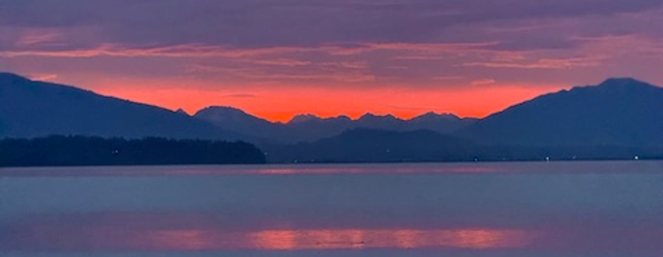 Lemonade from a Lemon