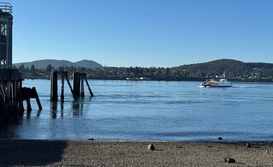 October 14 Hearing ZOOM Link