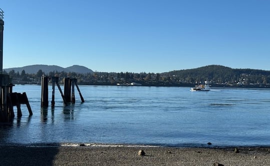 Bridging the Gap by Cindy Kamp