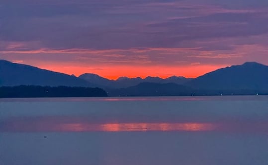 Lemonade from a Lemon